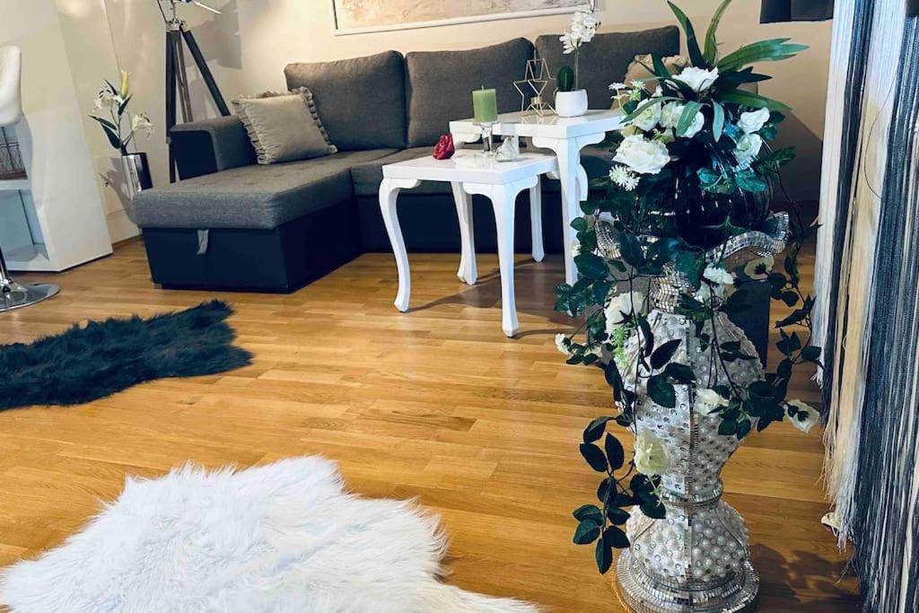 12-Fratelli Apartments Schloss Schonbrunn 10 To City Wina Bagian luar foto